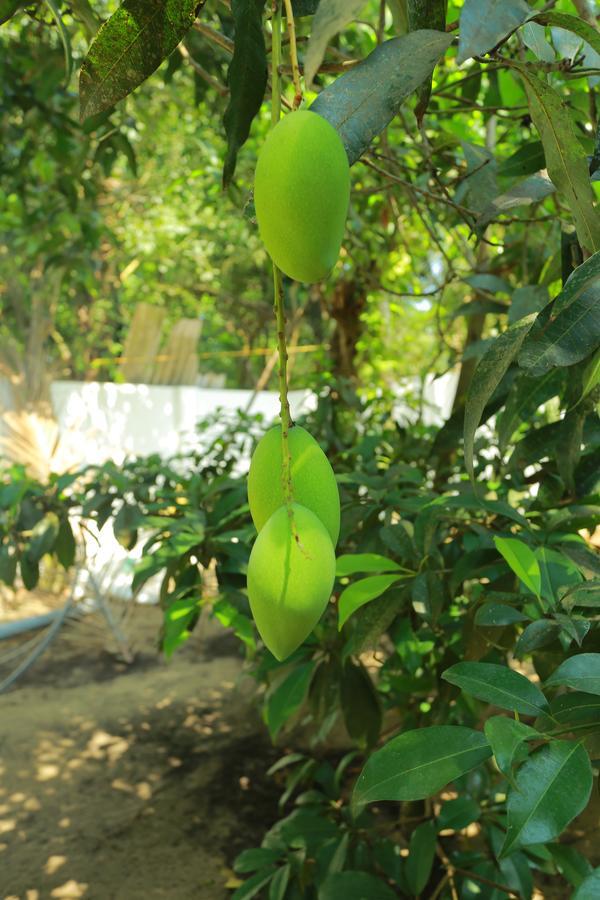 Marari Coastal Dreams Home Stay Alappuzha Buitenkant foto