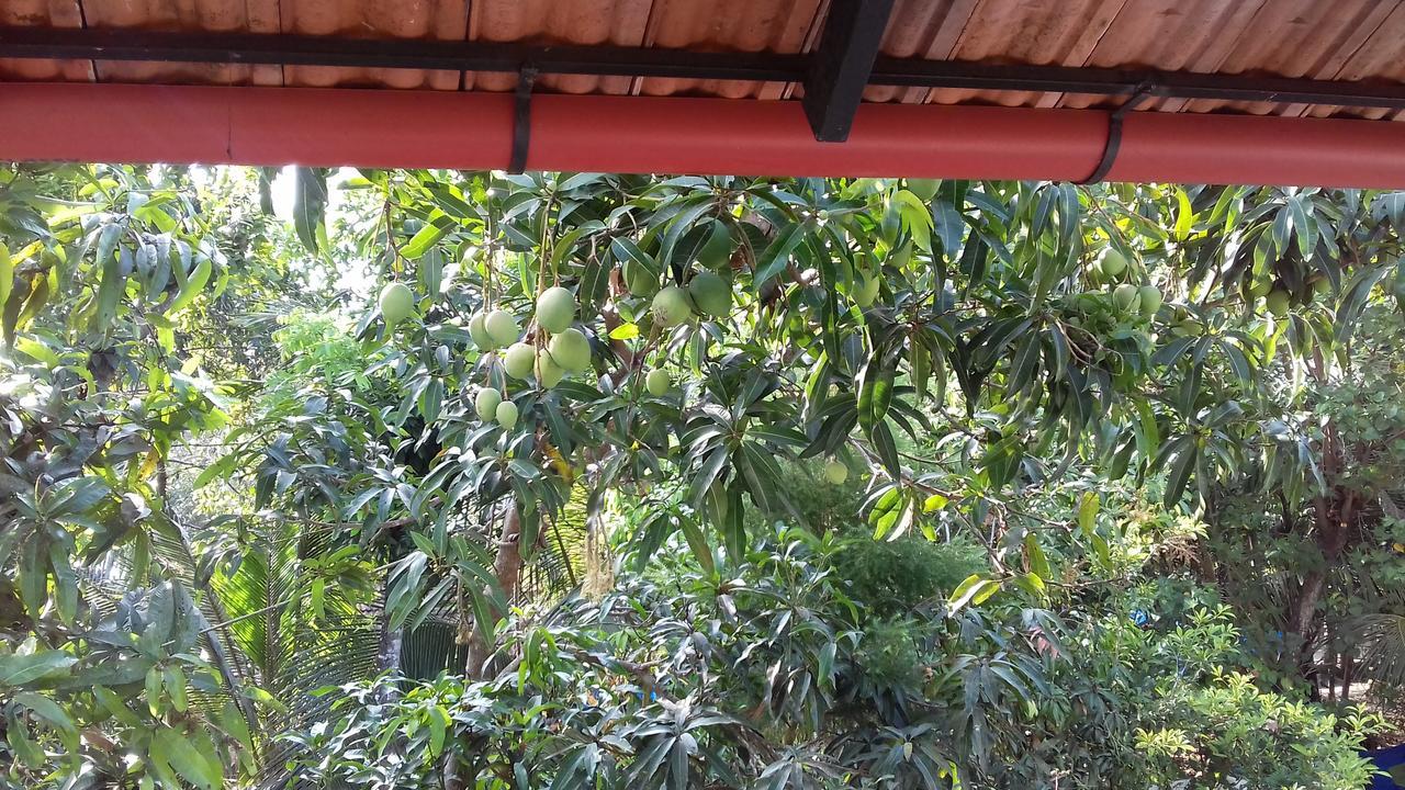 Marari Coastal Dreams Home Stay Alappuzha Buitenkant foto
