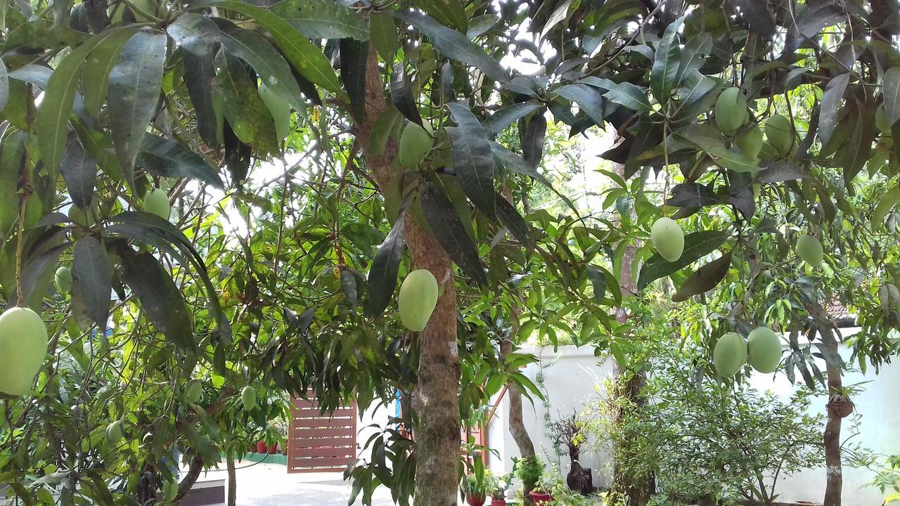 Marari Coastal Dreams Home Stay Alappuzha Buitenkant foto