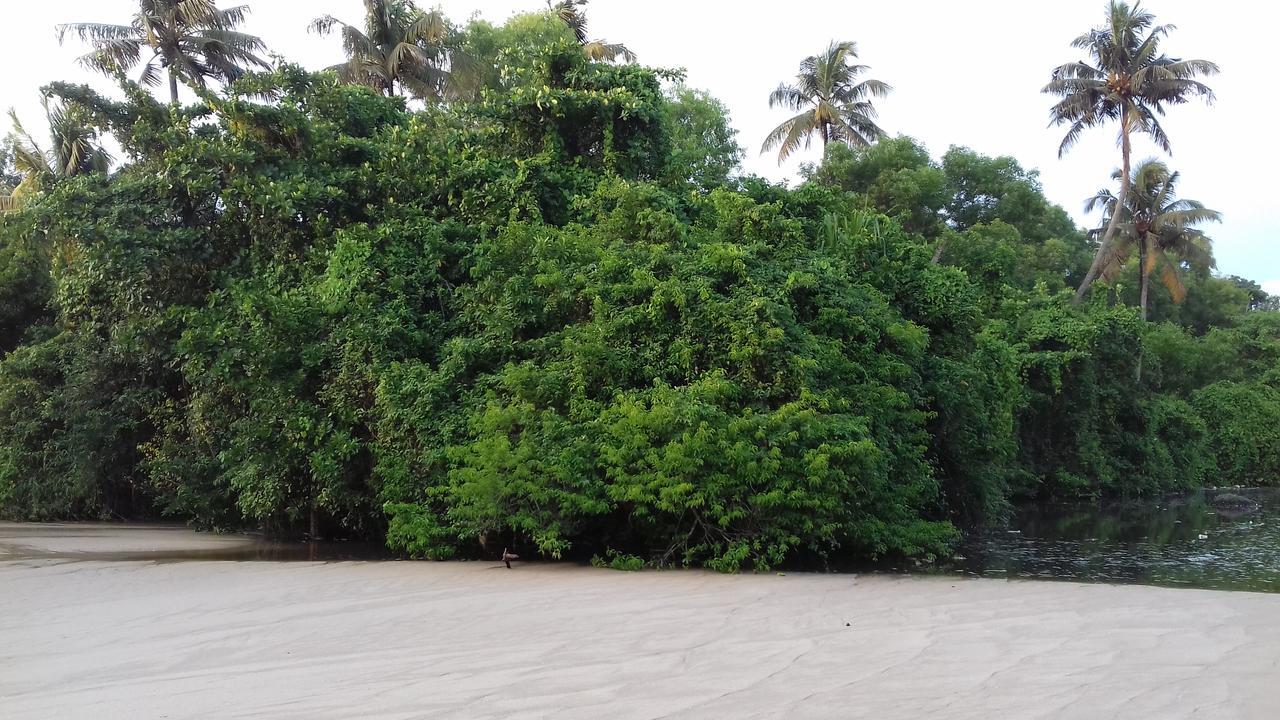 Marari Coastal Dreams Home Stay Alappuzha Buitenkant foto